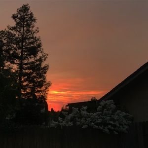 Meet your Posher, Mia